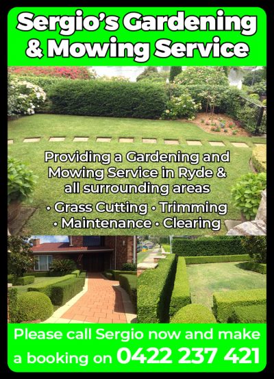 Sergio&#8217;s Gardening and Mowing Service