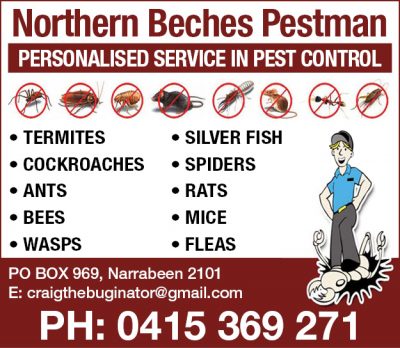 Northern Beaches Pest Man